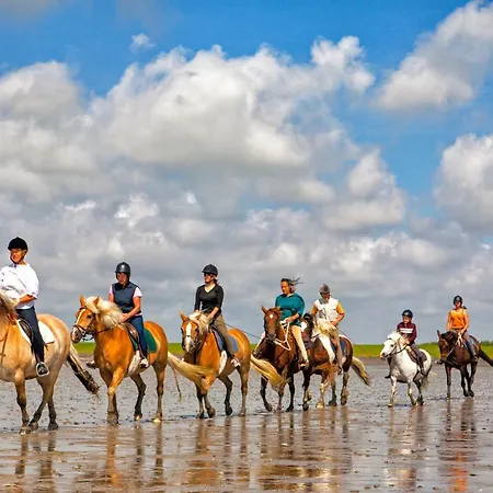 Gud Jard Nr 33 - Design-ferienhaus Mit Exklusiver Ausstattung Ferienhaus *