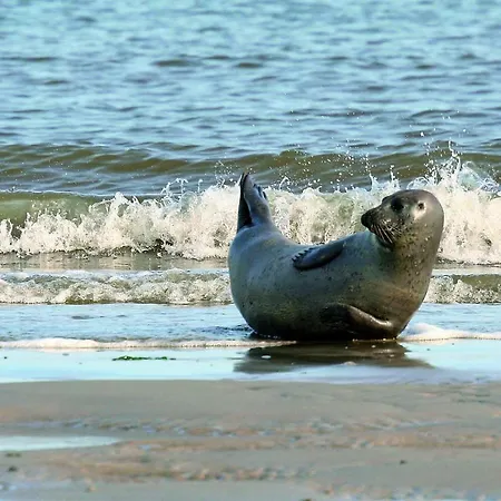 Gud Jard Nr 33 - Design-ferienhaus Mit Exklusiver Ausstattung Ferienhaus *