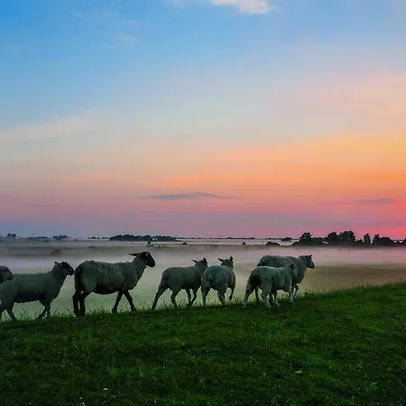 Ferienhaus Gud Jard Nr 33 - Design-ferienhaus Mit Exklusiver Ausstattung Pellworm
